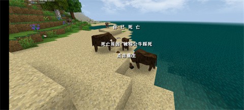 银河galaxy娱乐.4野人岛