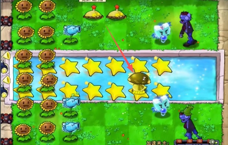 7817金沙app杨桃版