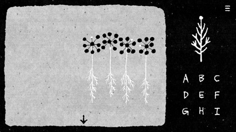 金沙1991ccapp谜之梦