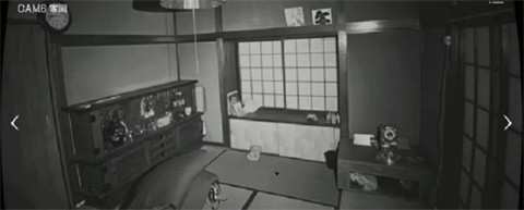 日本威尼斯87978797监视协会