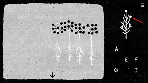 金沙1991ccapp谜之梦