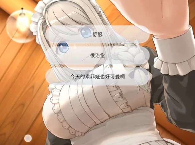 我与金沙贵宾厅的秘密完整版