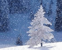 雪之梦钢琴谱 班得瑞聆听冬日里的童话世界