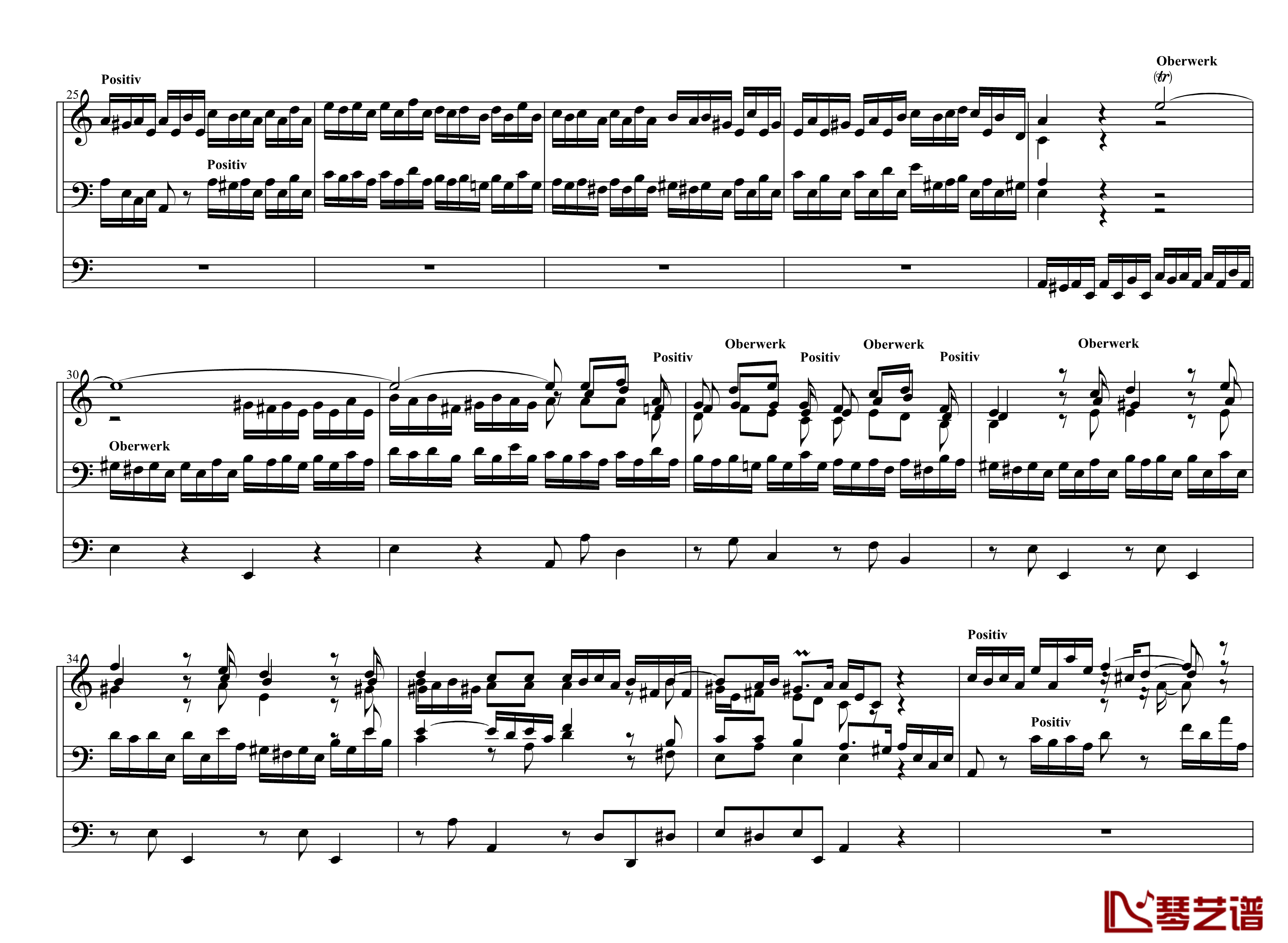 d小调托卡塔  BWV538钢琴谱-巴赫-P.E.Bach3