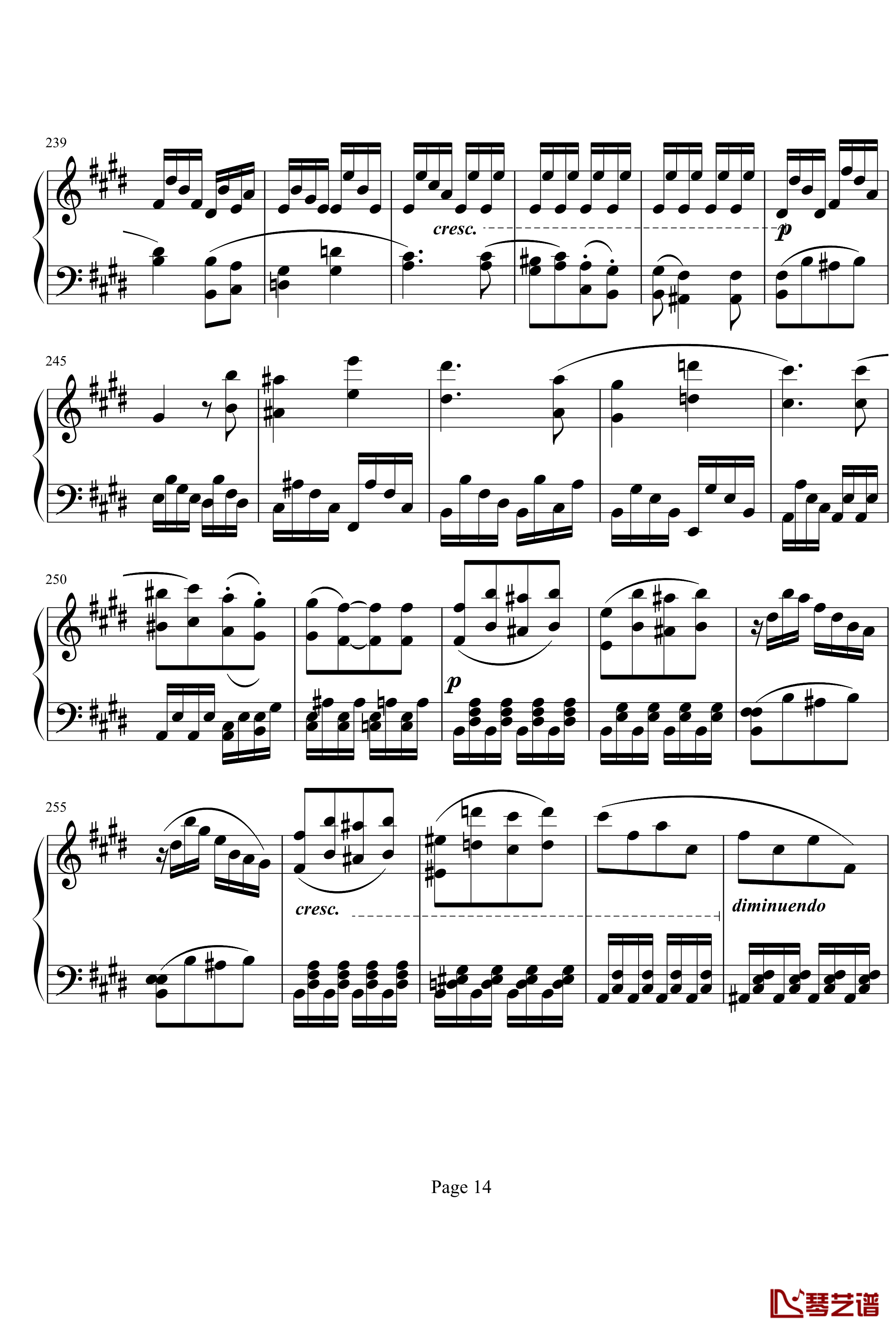 贝多芬第27钢琴奏鸣曲第二乐章钢琴谱-贝多芬14