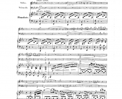 降E大调第一钢琴三重奏  Op.12钢琴谱-胡梅尔