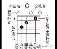 小草吉他谱-C调简单版-小草六线谱-吉他初级弹唱教学