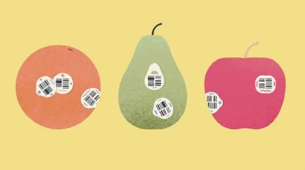 金莎js95199安卓版下载安装-金莎js95199手机版下载游戏画面1